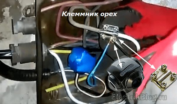 Клеммник орех